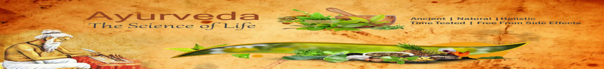 banner2 (1) (3)